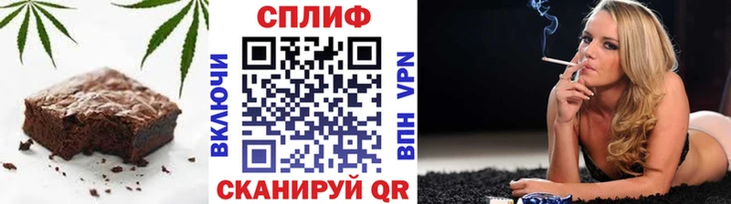 магазин продажи наркотиков  Моздок  Cannafood марихуана 