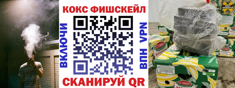 цены Моздок КОКАИН Fish Scale