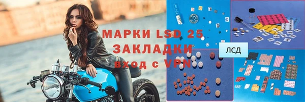 индика Осташков