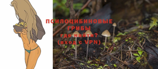 прущие крисы Осинники