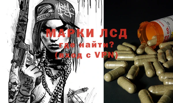 шишки Новодвинск