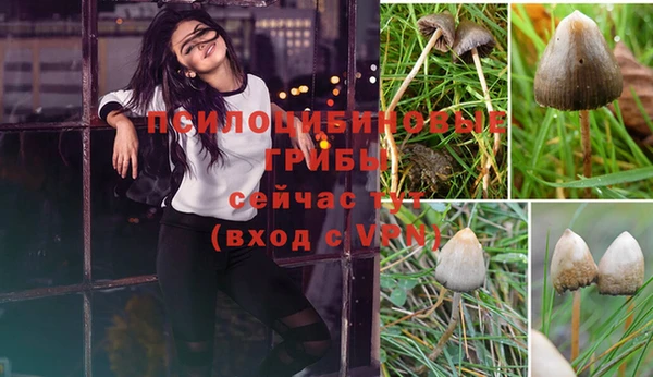 ECSTASY Нягань