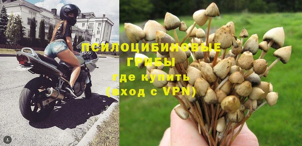 индика Осташков