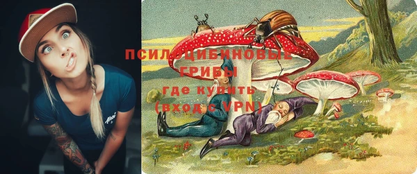 прущие крисы Осинники