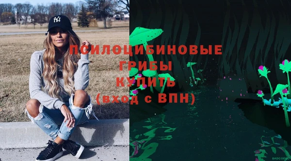 бошки Нязепетровск