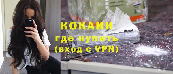 индика Осташков
