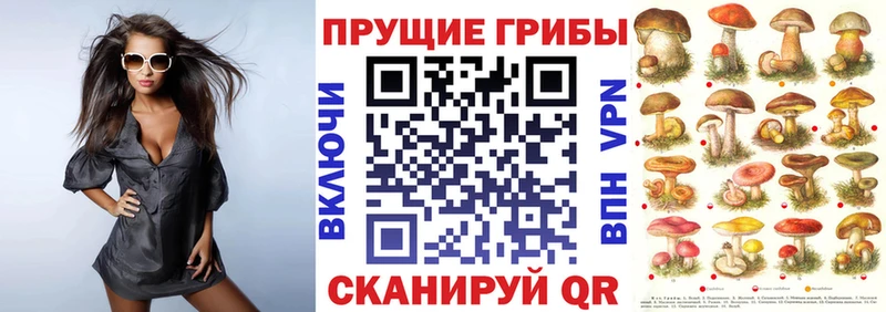 цена наркотик  Моздок  hydra вход  Галлюциногенные грибы MAGIC MUSHROOMS 