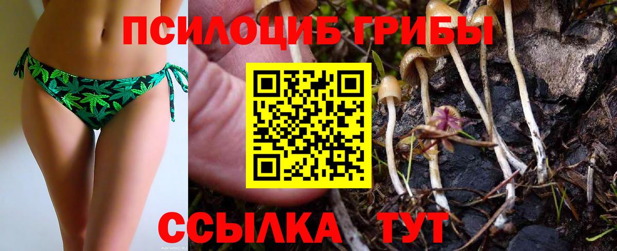 Псилоцибиновые грибы прущие грибы  Вход с VPN  Моздок 